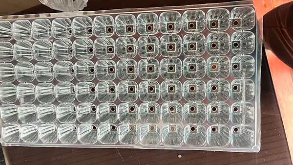 山东育苗片材 山东育苗片材