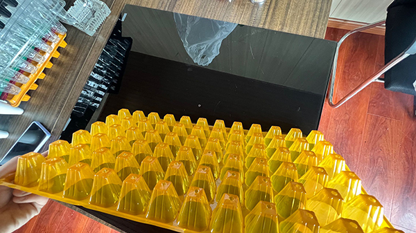春水堂视频APP下载育苗穴盘