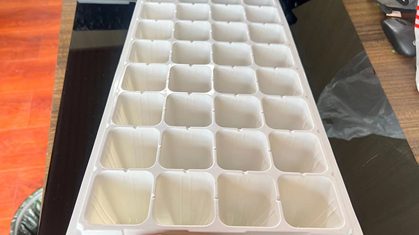 济宁春水堂视频APP下载片材